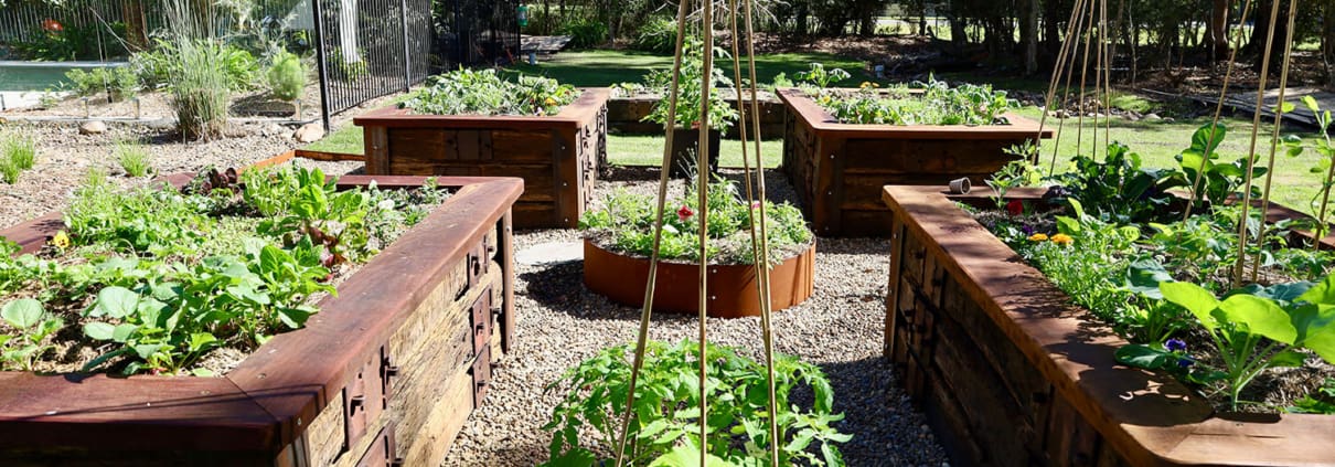 Landscape Design Brisbane A garden with several raised beds filled with a variety of vegetables and plants. The beds are arranged in a grid pattern with pathways between them, surrounded by a wire fence and greenery in the background. Live Outdoors