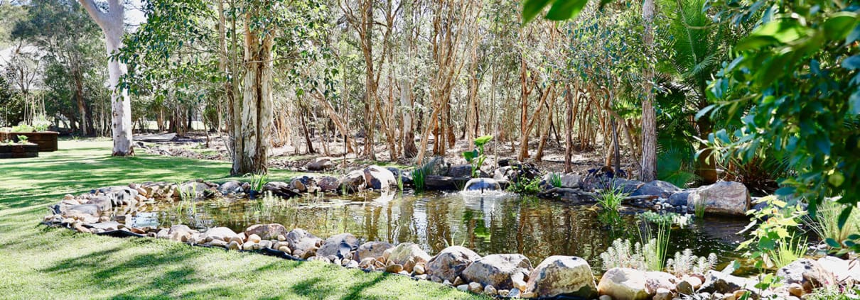 Chandler pond and edible gardens landscaping services Brisbane 6, Landscape Design Brisbane Bayside.