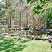 Landscape Design Brisbane A serene garden pond surrounded by rocks and lush greenery is nestled within a forest clearing. Tall trees with thin trunks and abundant foliage encircle the pond, while dappled sunlight filters through, casting shadows on the manicured lawn. Live Outdoors