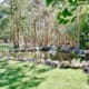 Landscape Design Brisbane A serene garden pond surrounded by rocks and lush greenery is nestled within a forest clearing. Tall trees with thin trunks and abundant foliage encircle the pond, while dappled sunlight filters through, casting shadows on the manicured lawn. Live Outdoors