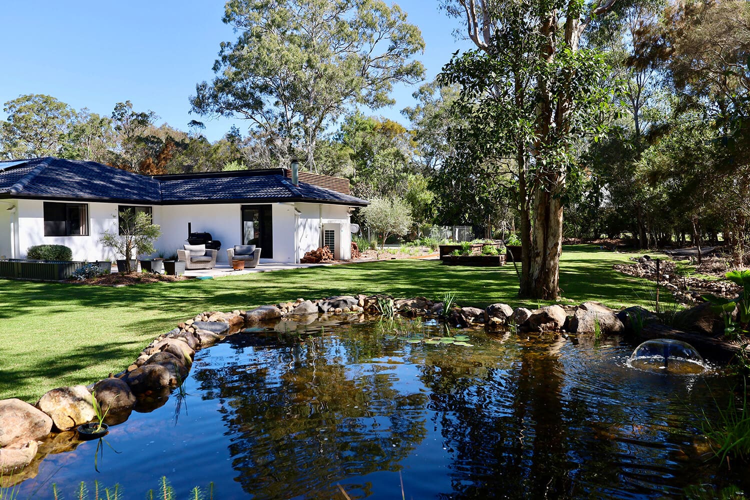 Native Plants for Brisbane Landscapes Live Outdoors
