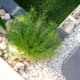 Landscape Design Brisbane A landscaped garden area featuring a clump of ornamental grass surrounded by small white pebbles. Large grey stepping stones and a border of smooth rocks complete the neatly arranged garden design. Live Outdoors