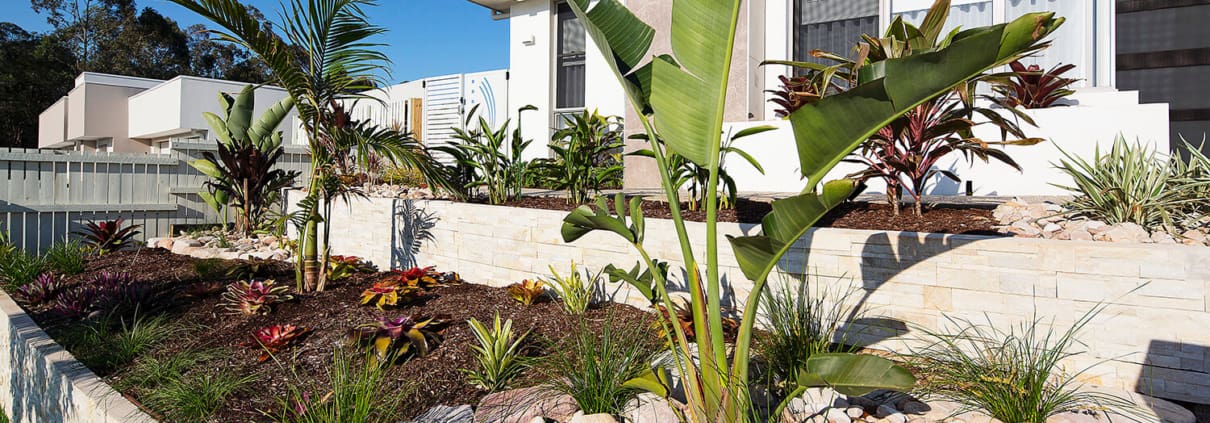 Landscape Design Brisbane A well-maintained garden in front of a modern house featuring green plants, shrubs, and small trees. The garden includes a mix of mulch and decorative stones, and is bordered by a low stone retaining wall. The house is white with large windows and a patio area. Live Outdoors