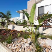 Landscape Design Brisbane A well-maintained garden in front of a modern house featuring green plants, shrubs, and small trees. The garden includes a mix of mulch and decorative stones, and is bordered by a low stone retaining wall. The house is white with large windows and a patio area. Live Outdoors