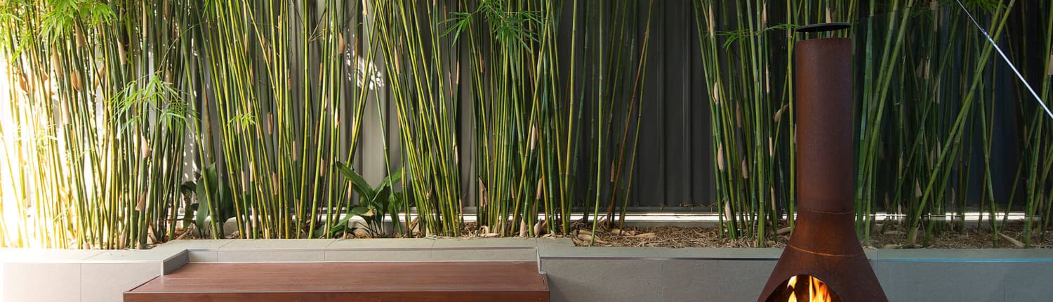 Landscape Design Brisbane A modern outdoor patio features a sleek wooden bench and a rust-colored outdoor fireplace with a visible fire inside. The area is enclosed by a lush bamboo garden and a tall, dark fence, creating a serene and private space. Live Outdoors