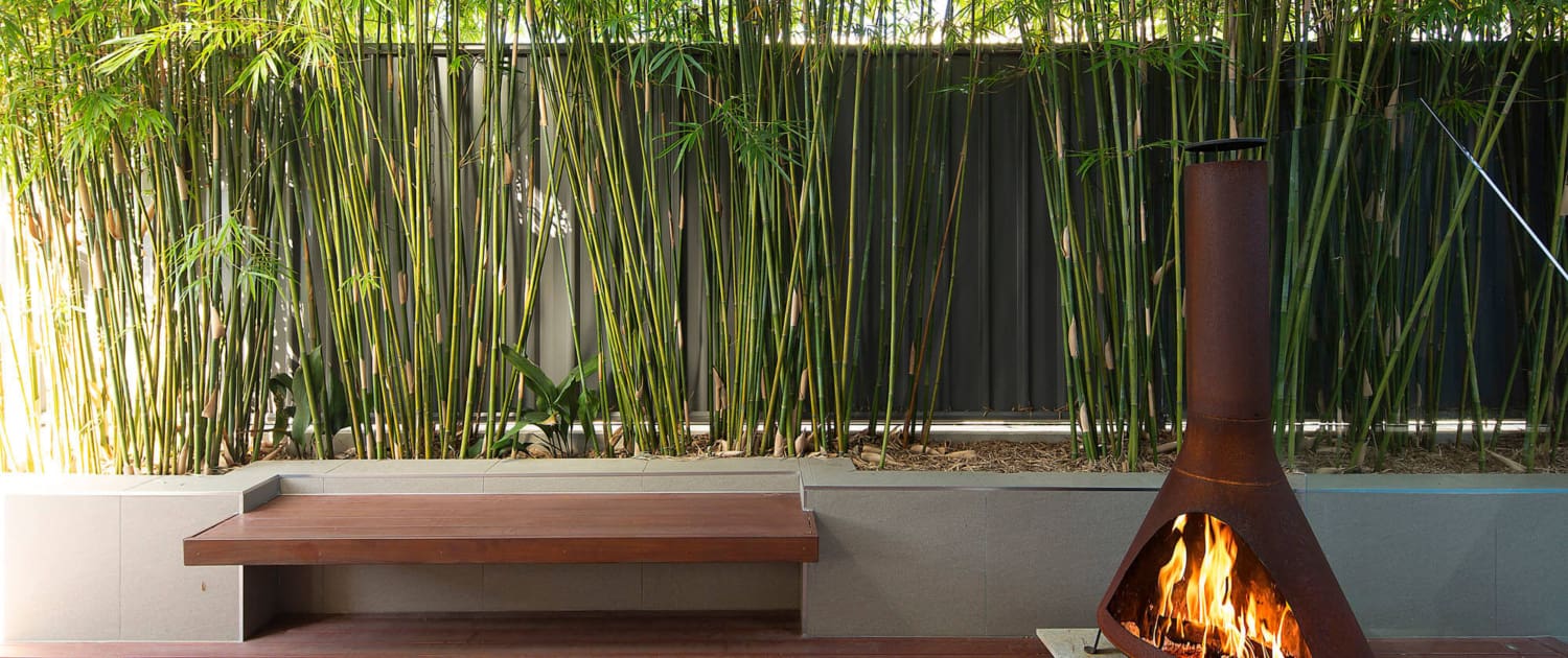 Norman park black and white modern Norman park black and white modern by Live Outdoors, Brisbane Landscape Design Gurus.