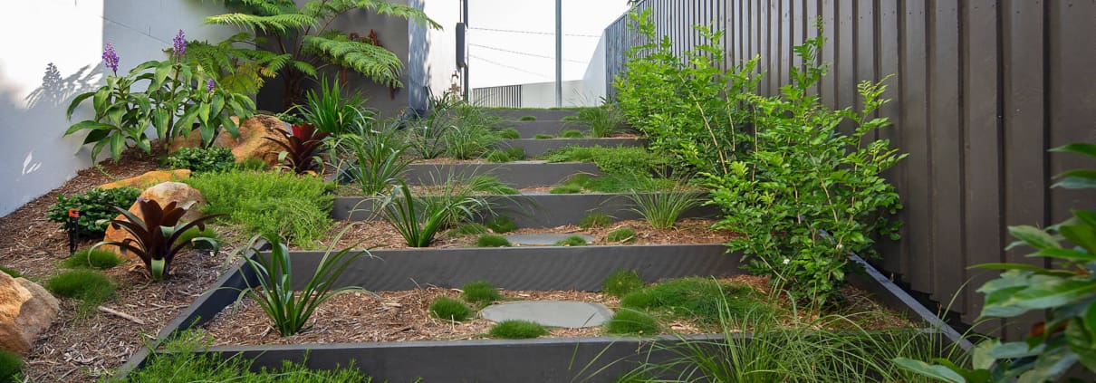 Landscape Design Brisbane A stepped garden pathway with stone slabs and wooden borders leads up a slight incline. Lush greenery, including various plants and shrubs, adorn both sides of the path. A tall, dark wooden fence runs alongside the garden, and a building is visible in the background. Live Outdoors