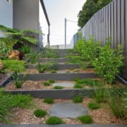 Landscape Design Brisbane A stepped garden pathway with stone slabs and wooden borders leads up a slight incline. Lush greenery, including various plants and shrubs, adorn both sides of the path. A tall, dark wooden fence runs alongside the garden, and a building is visible in the background. Live Outdoors