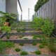 Landscape Design Brisbane A stepped garden pathway with stone slabs and wooden borders leads up a slight incline. Lush greenery, including various plants and shrubs, adorn both sides of the path. A tall, dark wooden fence runs alongside the garden, and a building is visible in the background. Live Outdoors