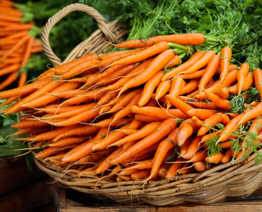 Landscape Design Brisbane A large wicker basket filled with freshly picked, vibrant orange carrots with green tops. The basket is tilted slightly, displaying the abundance of carrots. The background includes more produce, indicating a market or garden setting. Live Outdoors