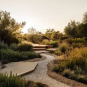 Landscape Design Brisbane A serene garden at sunset features a pebbled pathway winding through lush greenery and various types of plants. Wooden steps lead up to a raised platform. Tall trees frame the peaceful, sun-dappled landscape. Live Outdoors