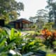 Landscape Design Brisbane A modern, single-story house with large glass windows sits atop a landscaped hill surrounded by lush greenery and tropical plants. Tall trees and vibrant bushes create a serene, natural backdrop under a bright, clear sky. Live Outdoors