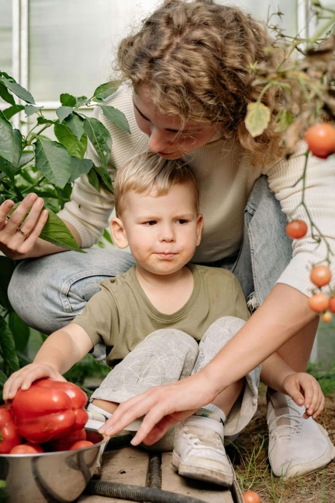 Landscape Design Brisbane A woman kneels behind a young boy in a garden, helping him pick vegetables. The boy sits on the ground, touching red bell peppers in a metal bowl among green plants and ripe tomatoes. Live Outdoors